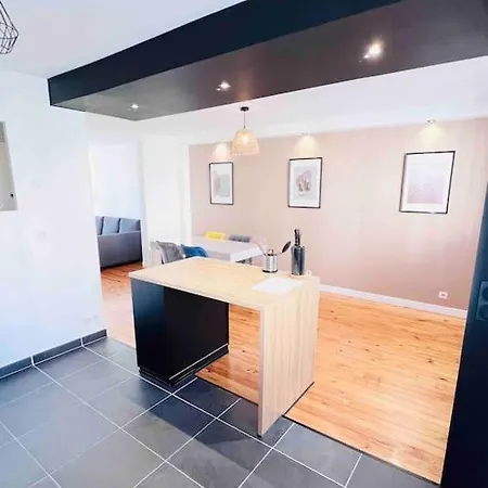 Apartment Confort Et Elegance A 250m De L'em Lyon Saint-Etienne (Loire)