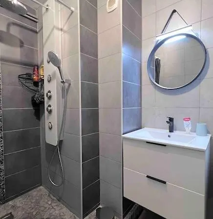 Apartment Confort Et Elegance A 250m De L'em Lyon